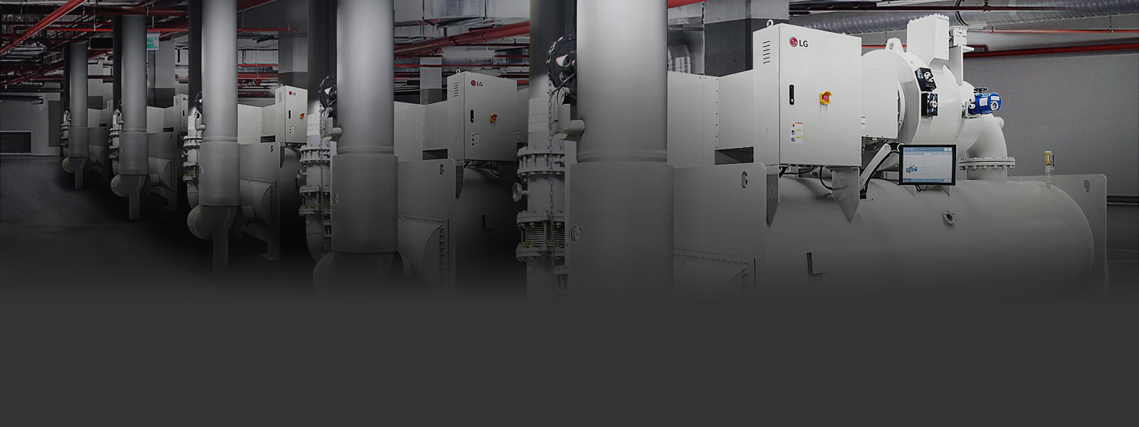 Native Technology International